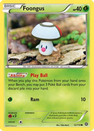 Foongus 012/114 - XY  Steam Siege