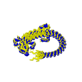 Storm Dragon (CW3D)