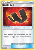 Karate Belt 201/236 - SM  Unified Minds
