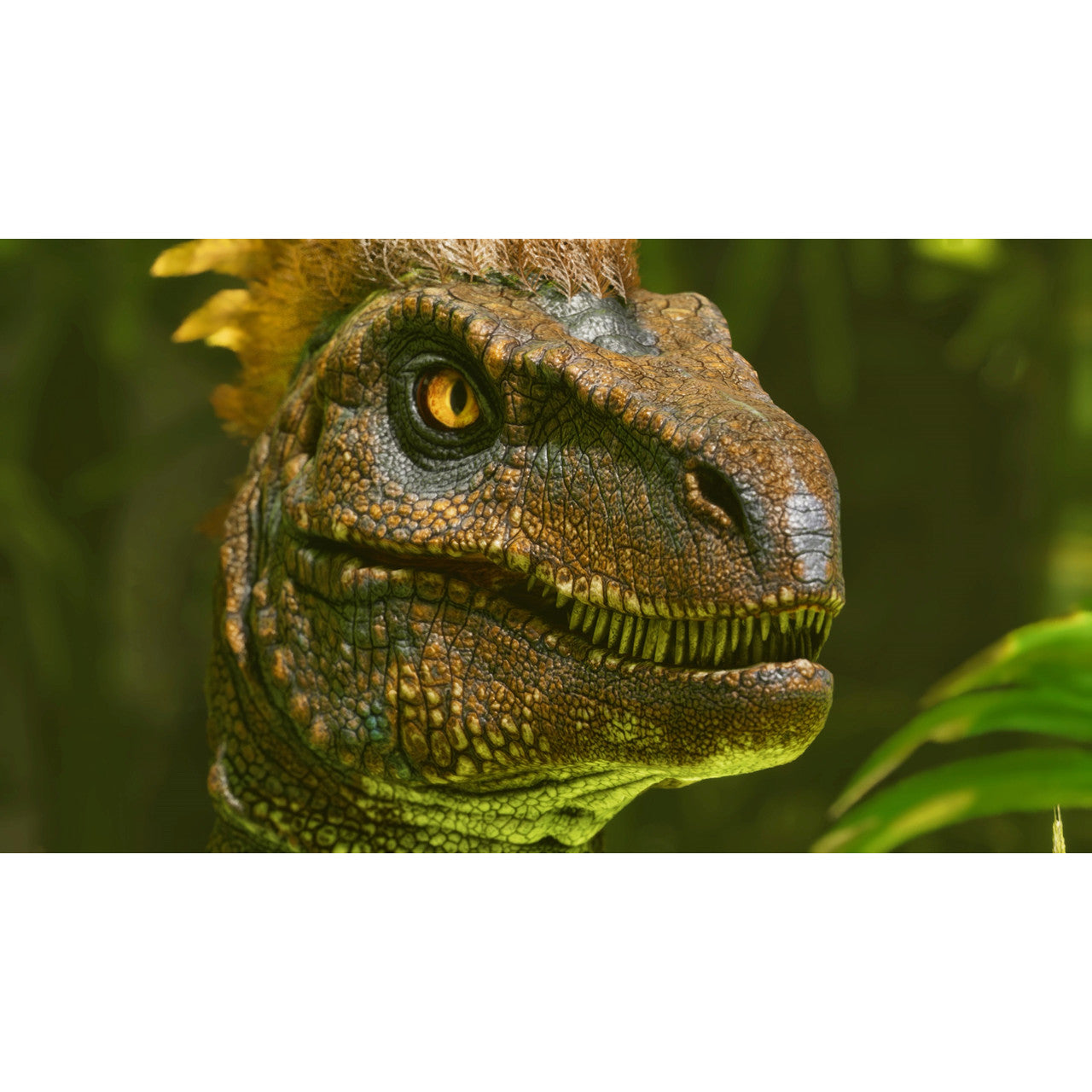 Studio Wildcard - ARK: Survival Ascended - PS5
