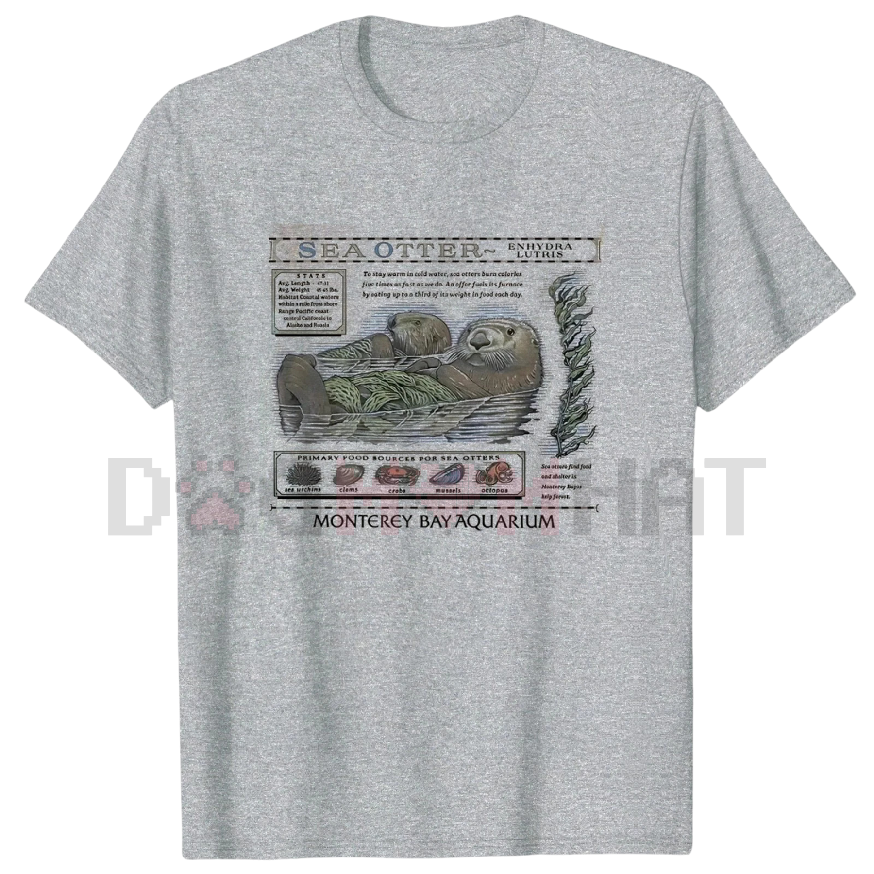 Sea Otter Monterey Bay Aquarium Shirt – Vintage Otter Lover Tee