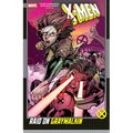 X-Men: Raid on Graymalkin - Paperback