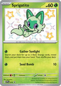 Sprigatito 076 - SV Scarlet & Violet Promo Cards Holofoil