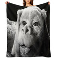 Falkor The Luck Dragon From The Neverending Story Design Throw Blanket
