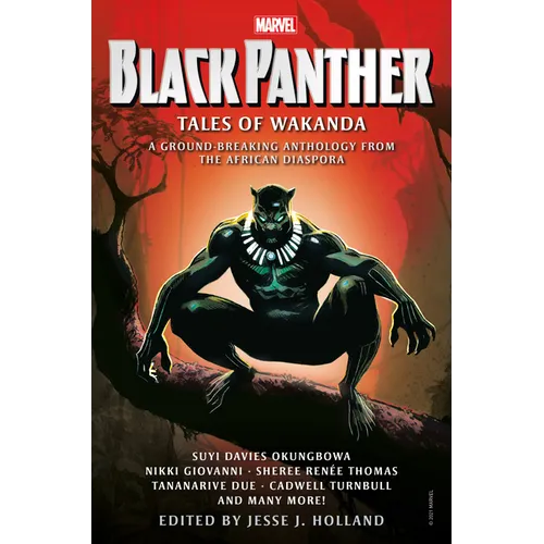 Black Panther: Tales of Wakanda - Paperback