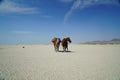 The Last Ride of the Pony Express: My 2,000-mile Horseback J