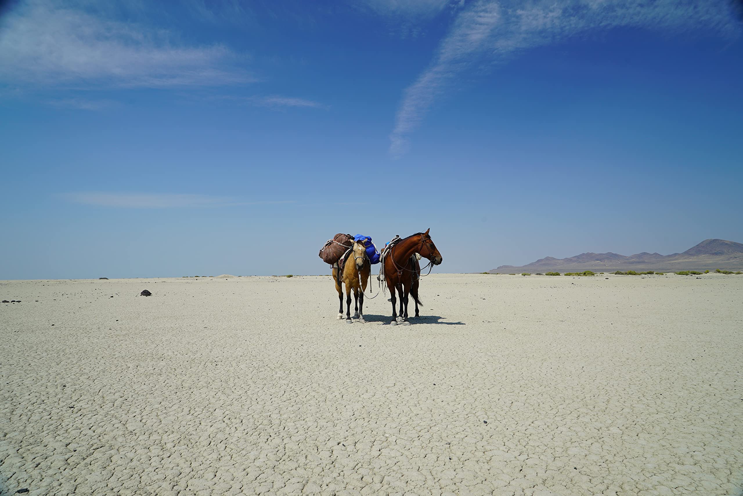 The Last Ride of the Pony Express: My 2,000-mile Horseback J