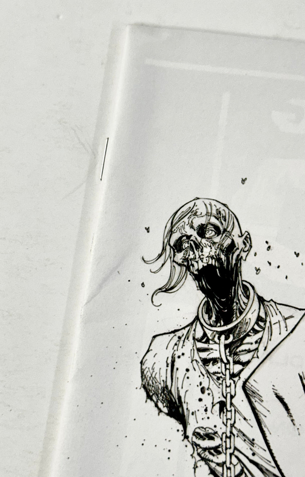 The Walking Dead #19 B&W Virgin Michonne 15th Anniversary Image Comics Campbell D