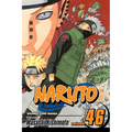 Naruto, Vol. 46: Naruto Returns - Paperback