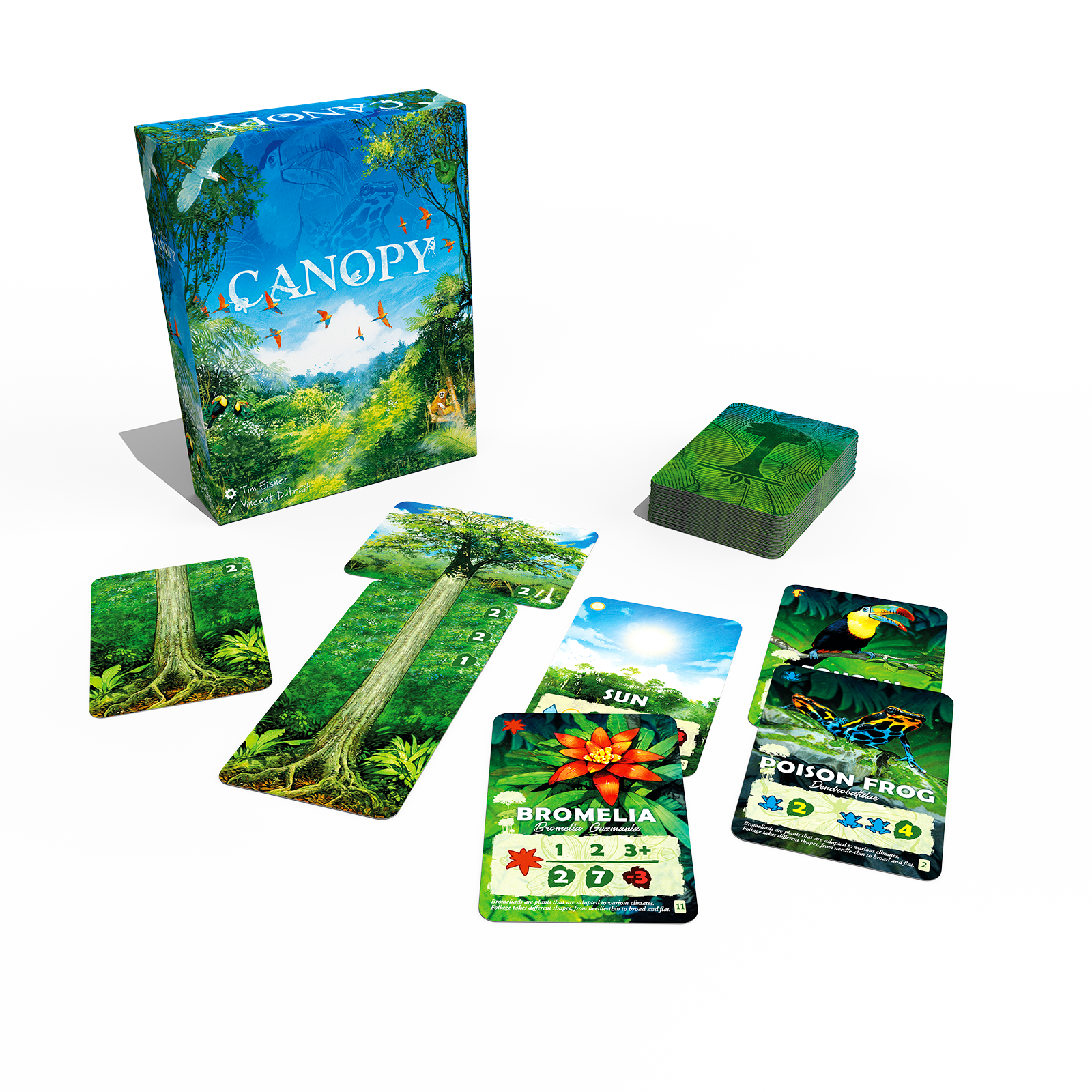 Canopy - Compete to Grow the Most Bountiful Rainforest