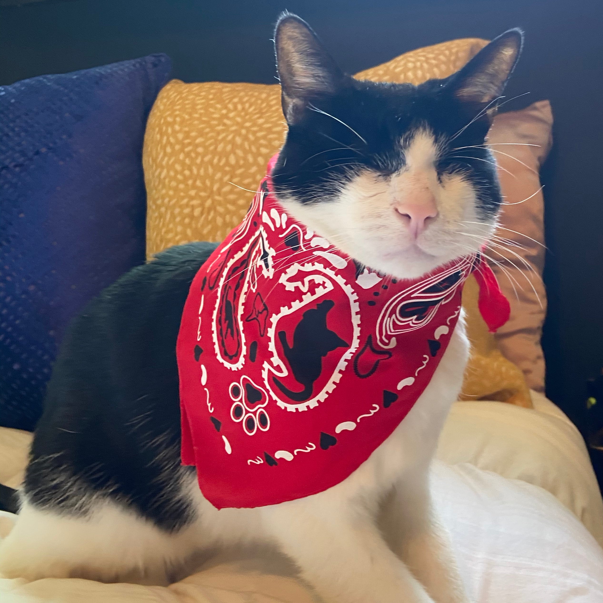 "The Icon - Stray Charles" Human & Pet Bandana