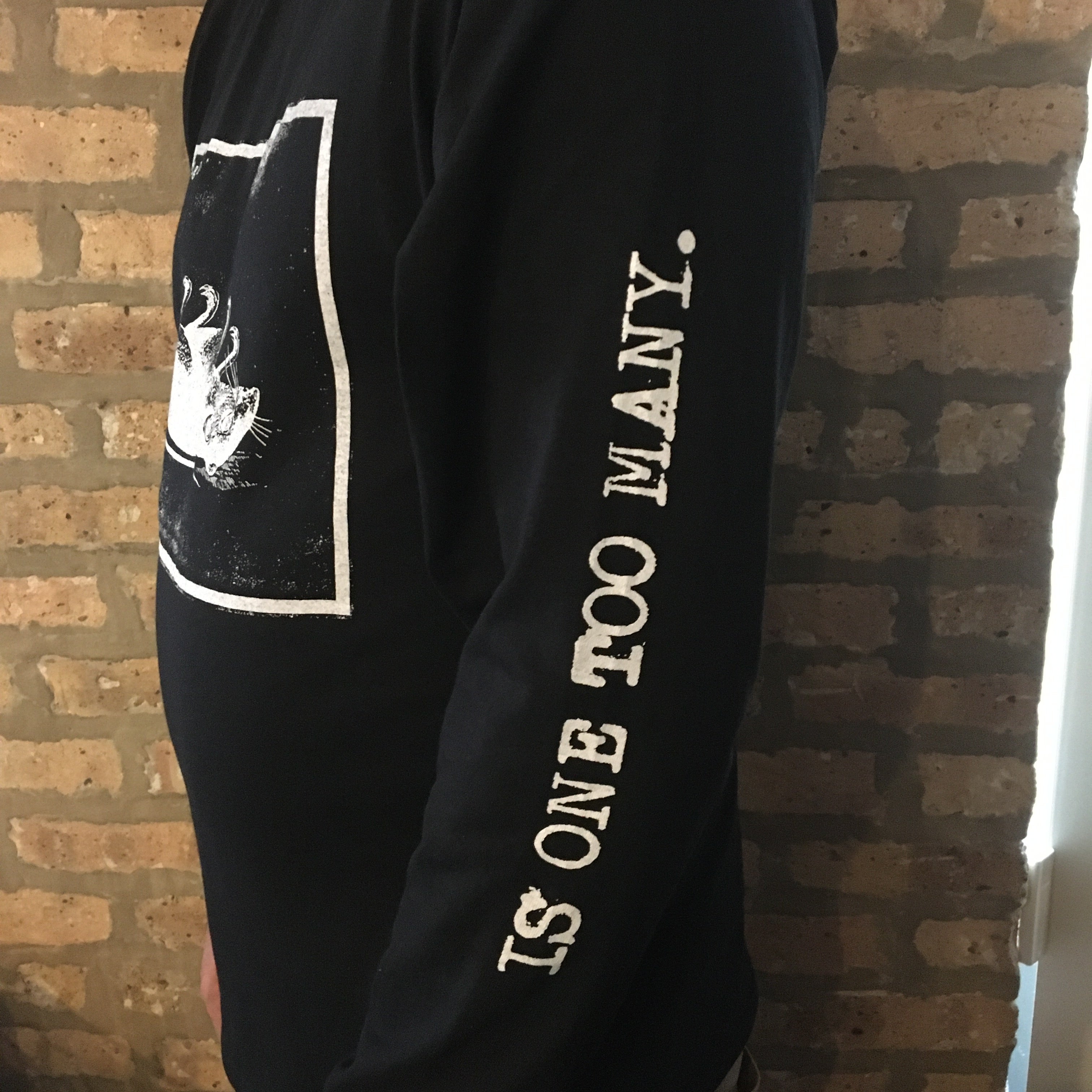 Dillinger Four "One Too Many" Long Sleeve Tee Shirt