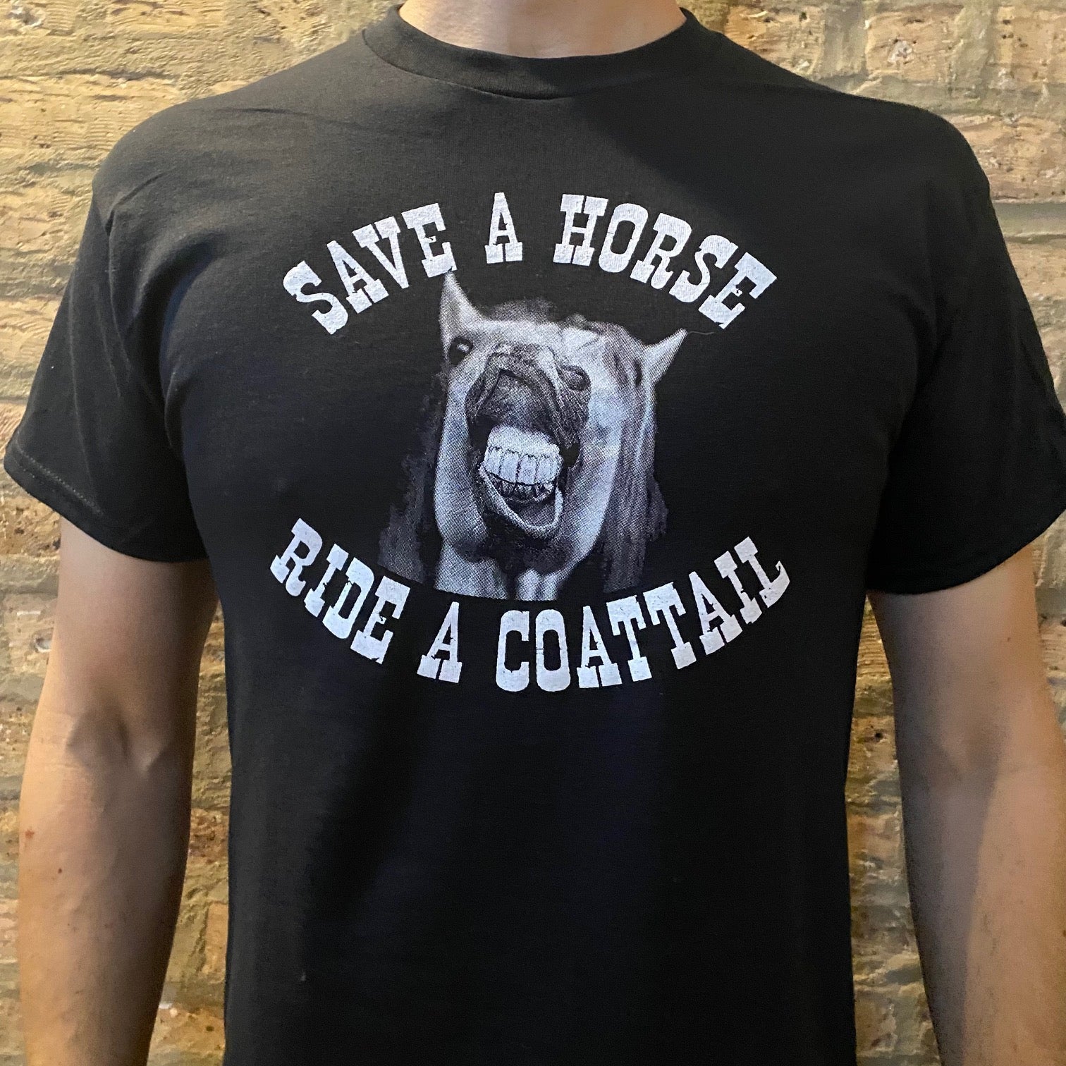 The "Horse Is A Horse" Tee Shirt