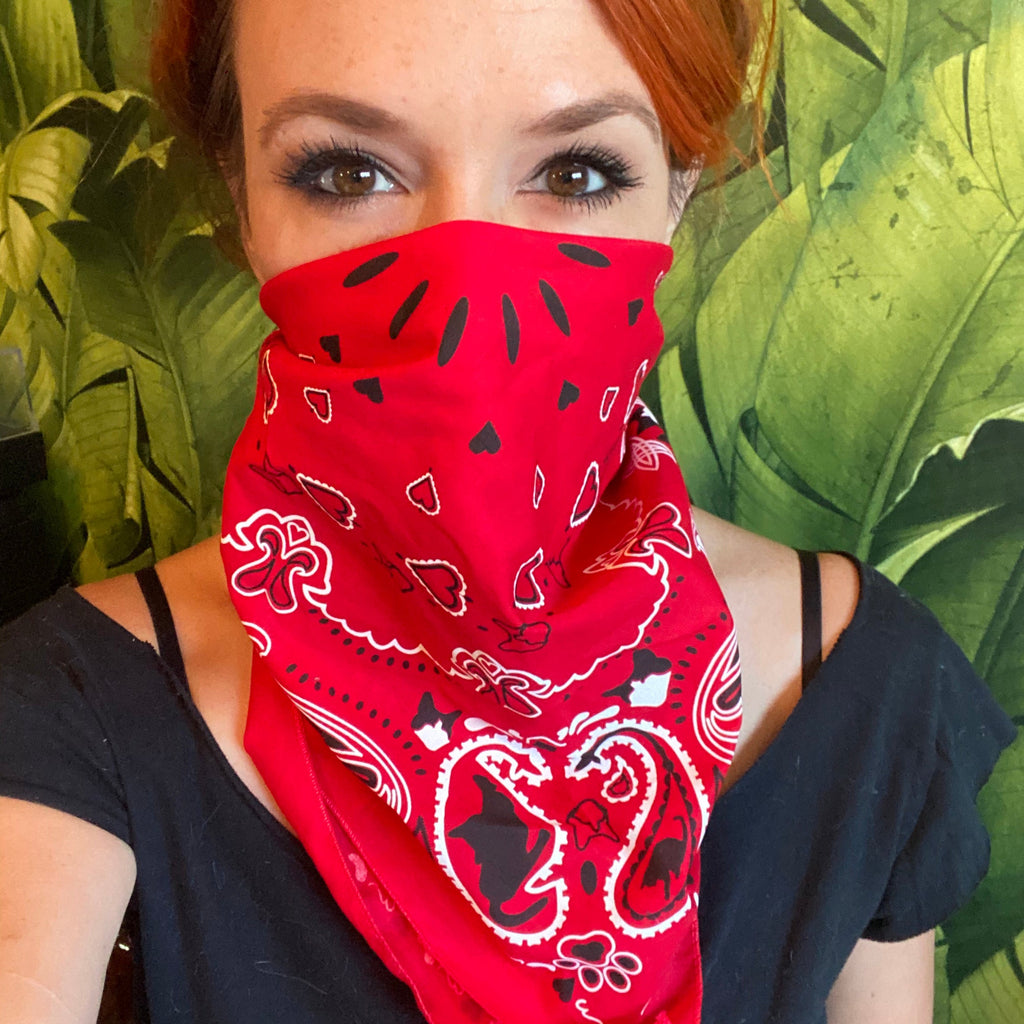 "The Icon - Stray Charles" Human & Pet Bandana