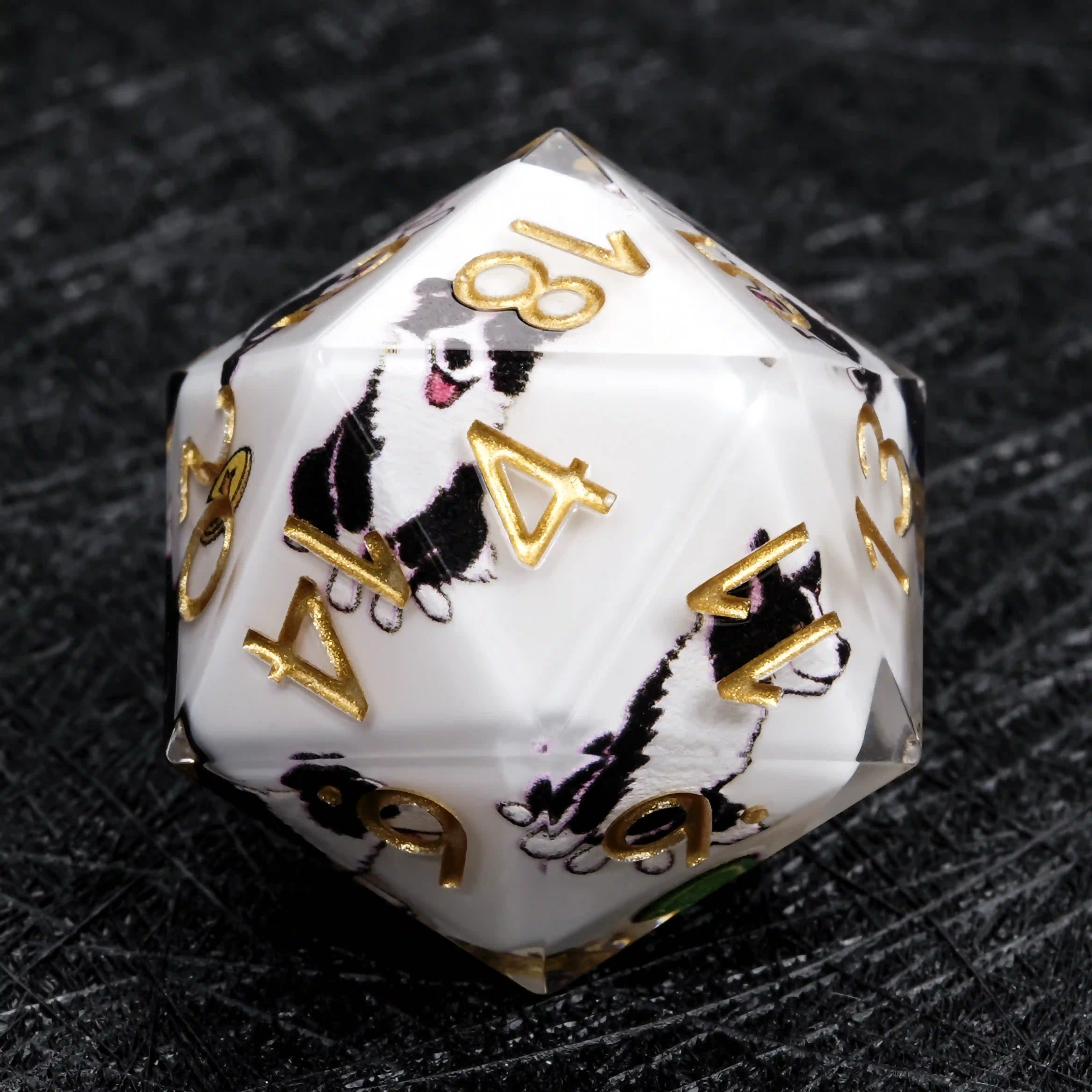 Kickstarter Dice – Border Collie Resin DND Dice Set