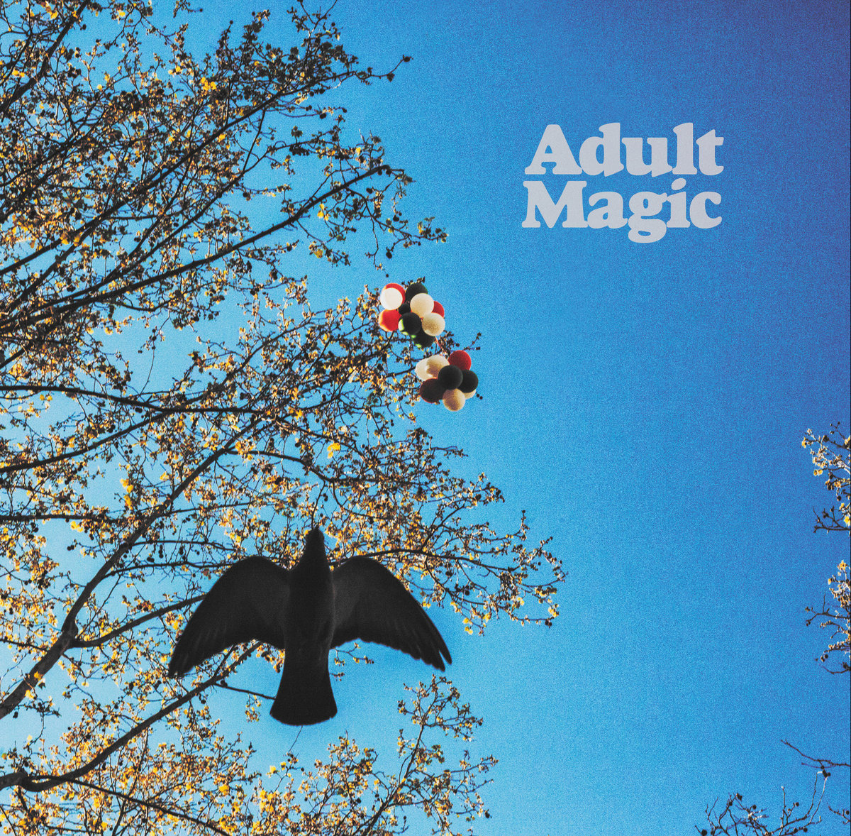 Adult Magic "ST" LP