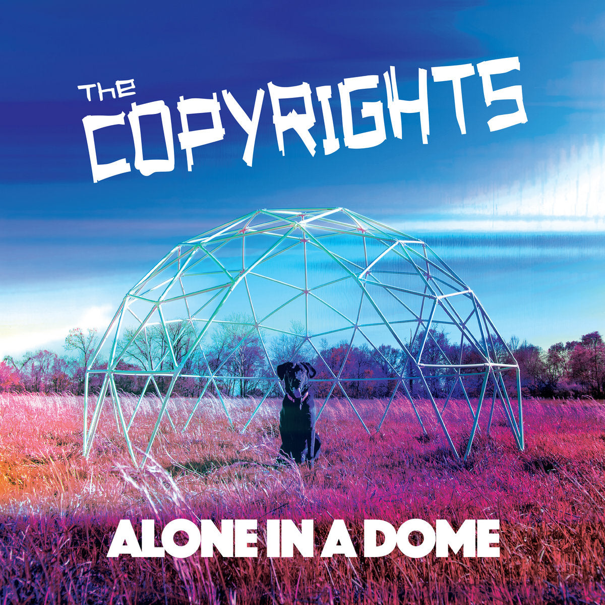 Copyrights, The "Alone In A Dome" CD/LP