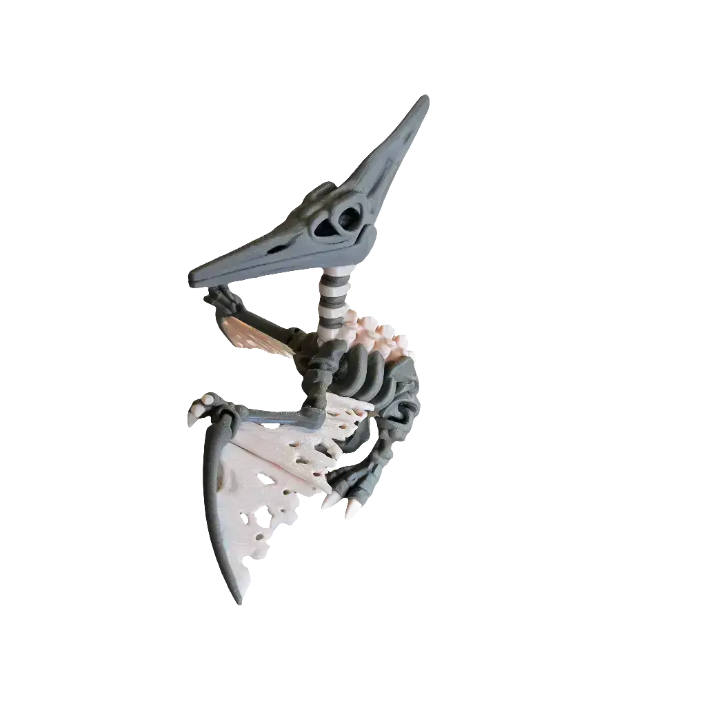 Articulated Skeleton Pterodactyl (Adult)