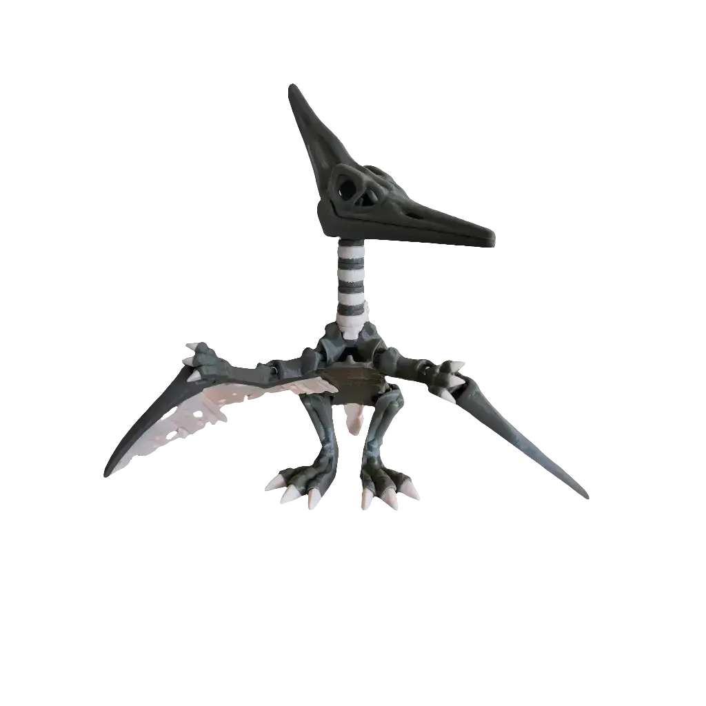 Articulated Skeleton Pterodactyl (XL Adult)