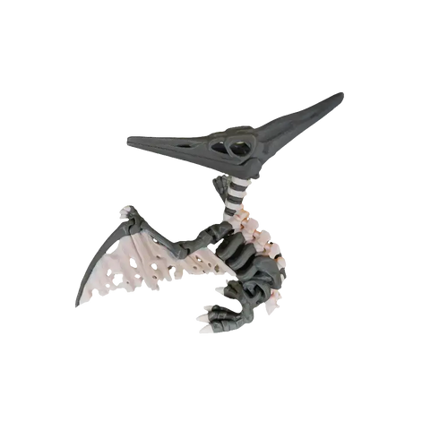 Articulated Skeleton Pterodactyl (XL Adult)