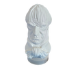 Haunted Bust Male