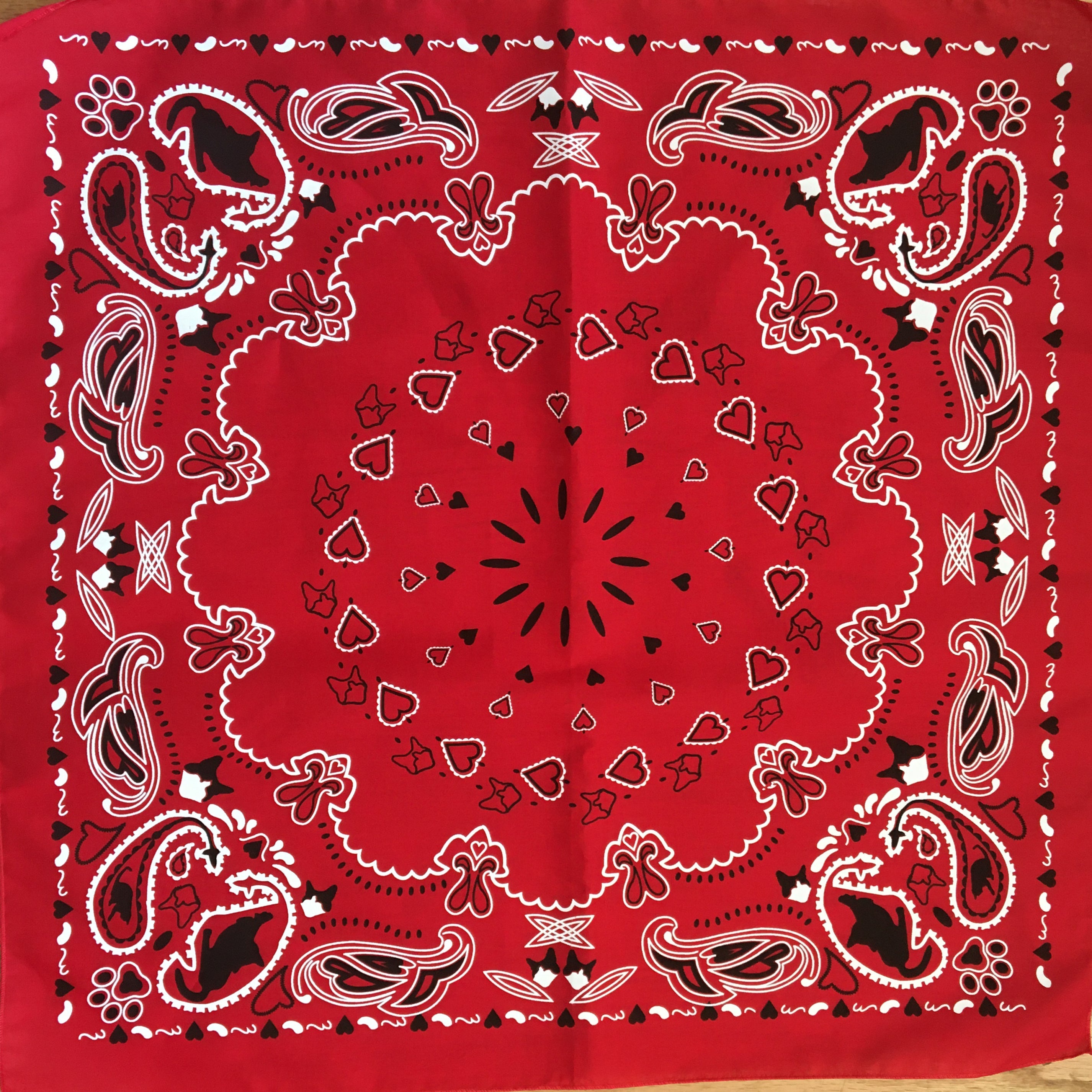 "The Icon - Stray Charles" Human & Pet Bandana
