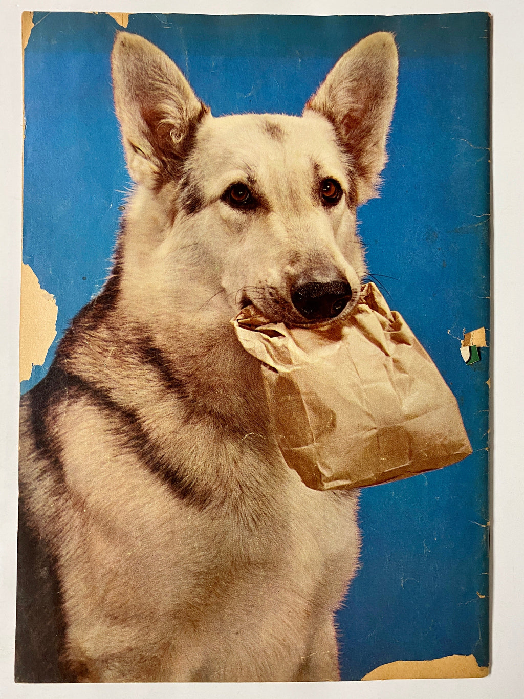 Four Color (1942) #434 Rin Tin Tin #1 Photo Cover Sparky Moore Art TV Show