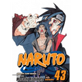 Naruto, Vol. 43: The Man with the Truth - Paperback