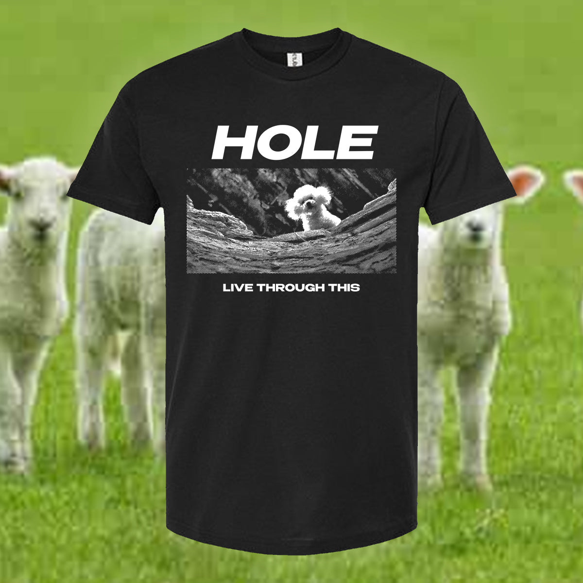 The "Precious" Tee Shirt
