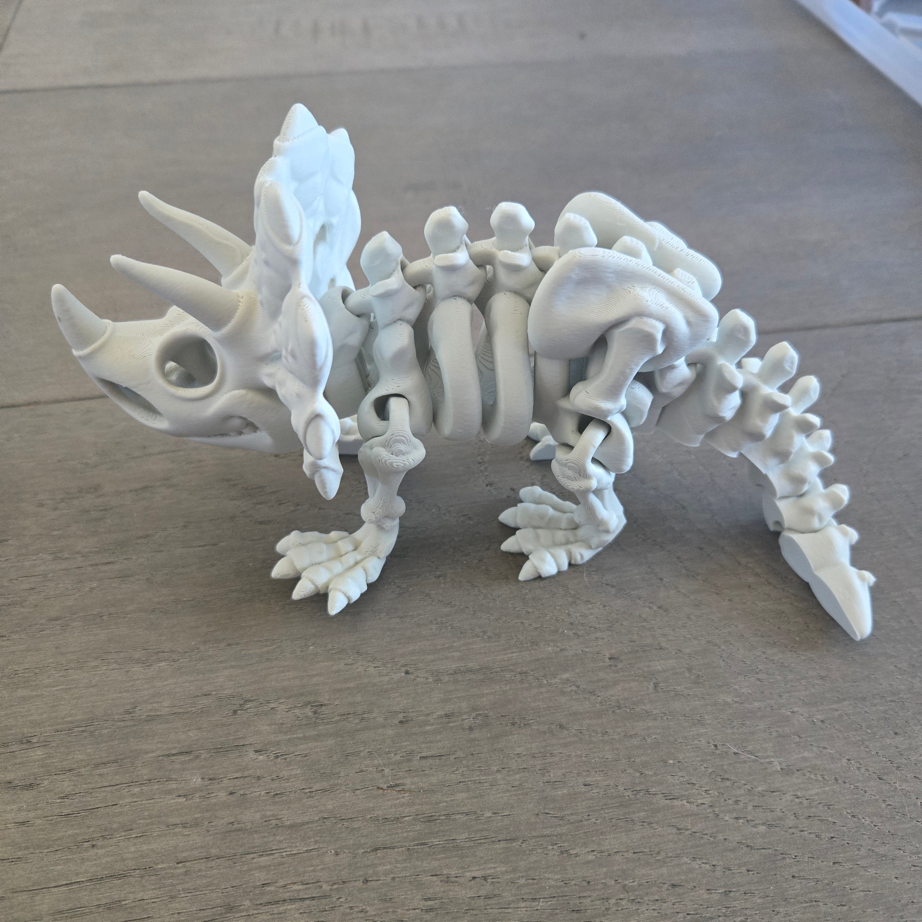 Articulated Skeleton Triceratops