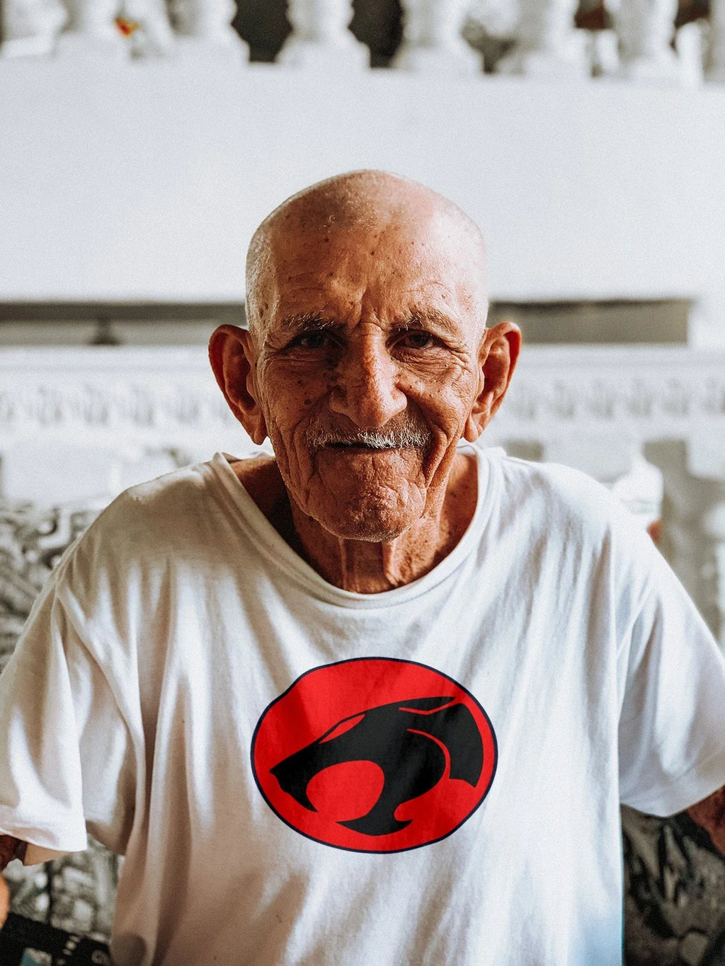 Thundercats Logo Mens T Shirt Gildan