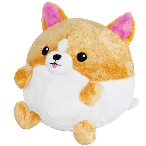 Squishable Corgi in Elephant (Undercover)